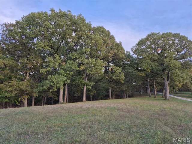 $352,000 | 0 Highway D - Tract 6 (22 /- Acres) Eolia Mo 63344, Eolia, MO 63344