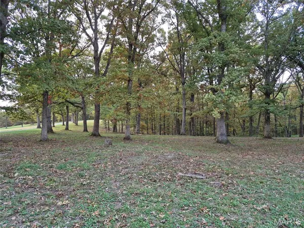 $341,000 | 0 Highway D - Tract 6 (22 /- Acres) Eolia Mo 63344, Eolia, MO 63344