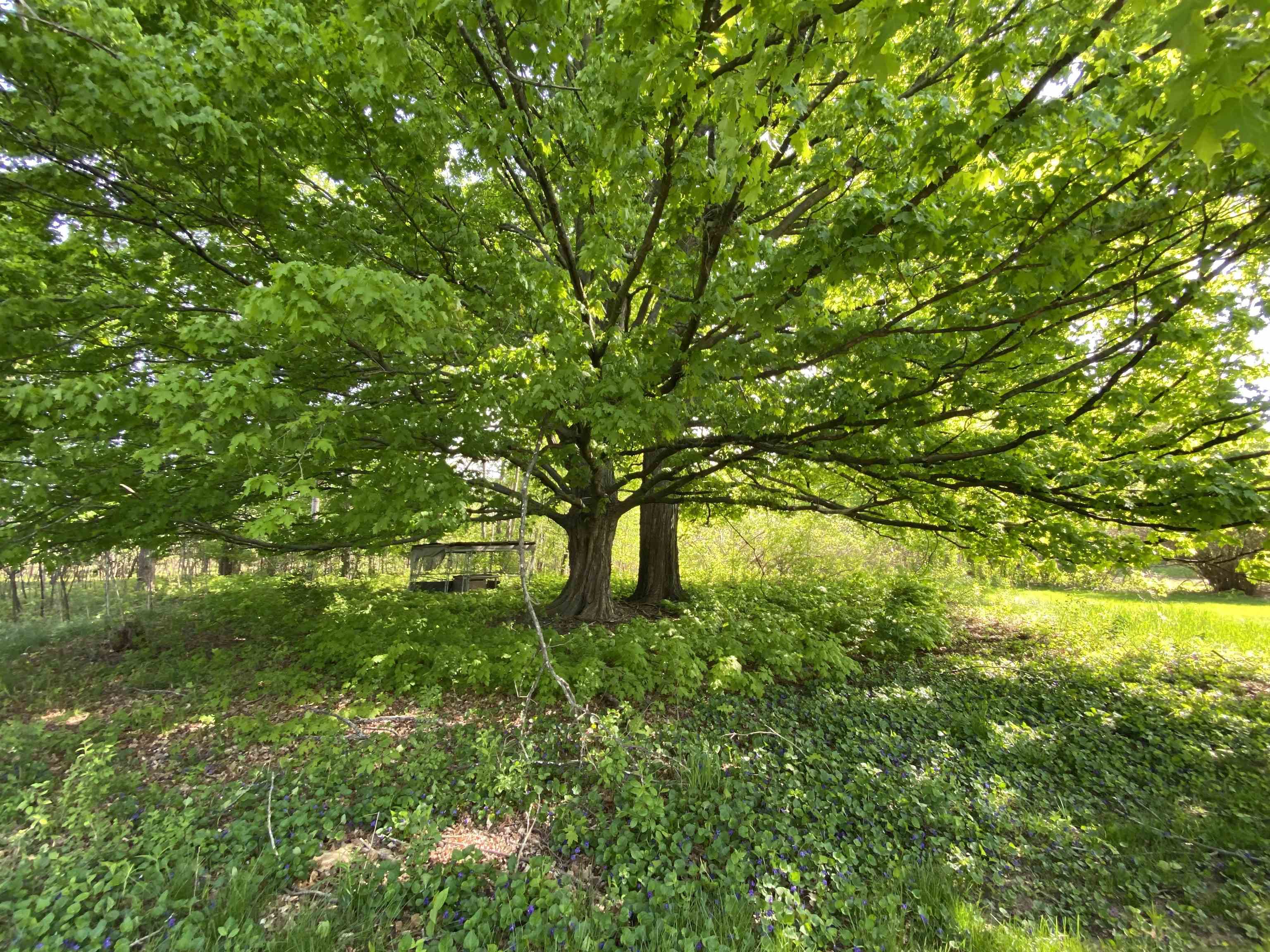 2261 Swanstra Road Gladwin, MI 48624 - Photo 44 of 59 1900184-43.JPG