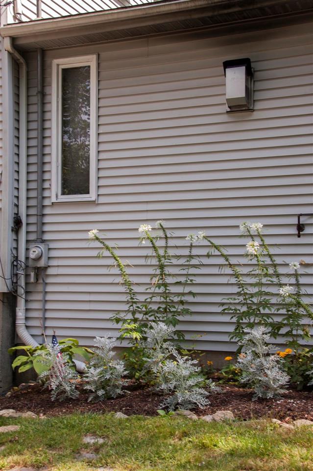 30 Berry Road Derry, NH 03038 - Photo 34 of 39 Gallery Image 34