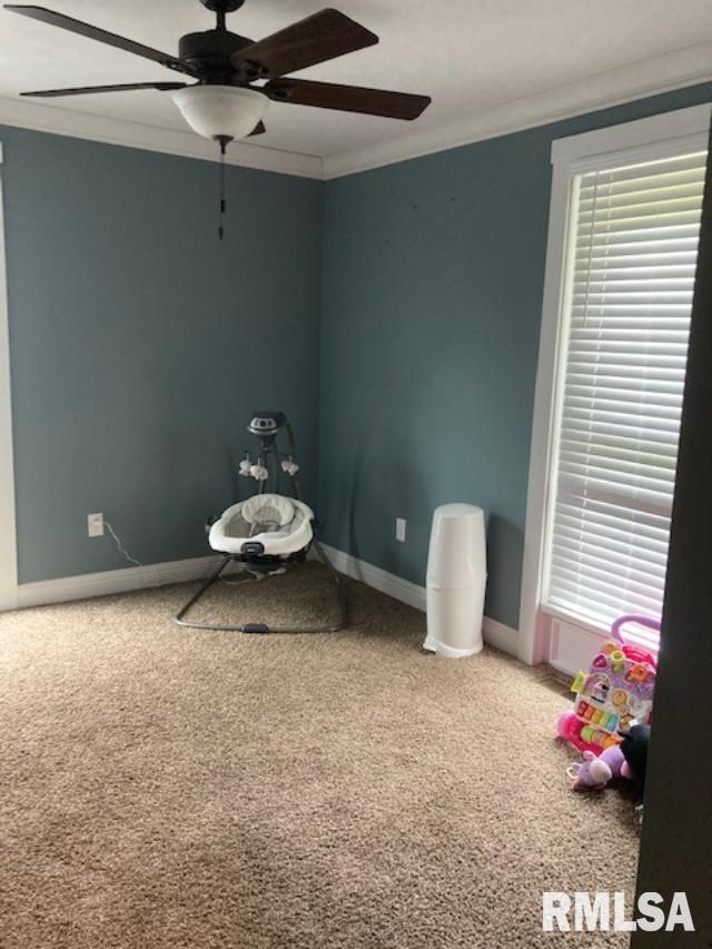 15344 Pittsburg Road Marion, IL 62959 - Photo 8 of 14