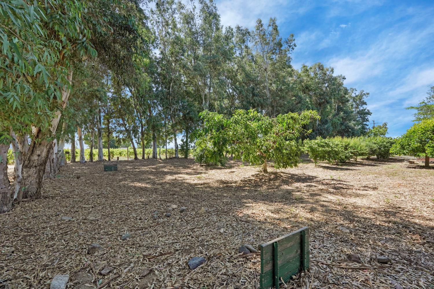 6632 East Acampo Road Clements, CA 95220 - Photo 46 of 52