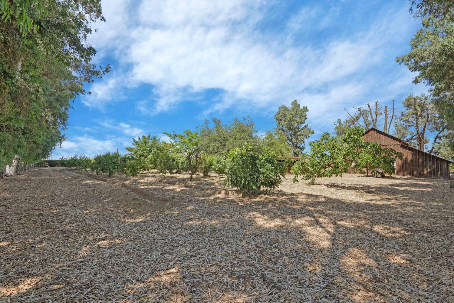 6632 East Acampo Road Clements, CA 95220 - Photo 47 of 52