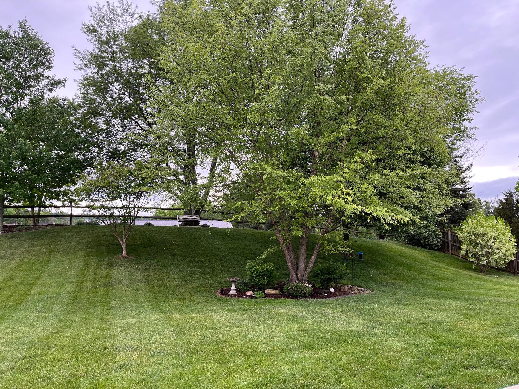 229 Walkers Bend Road Gray, TN 37615 - Photo 50 of 59 IMG_7096