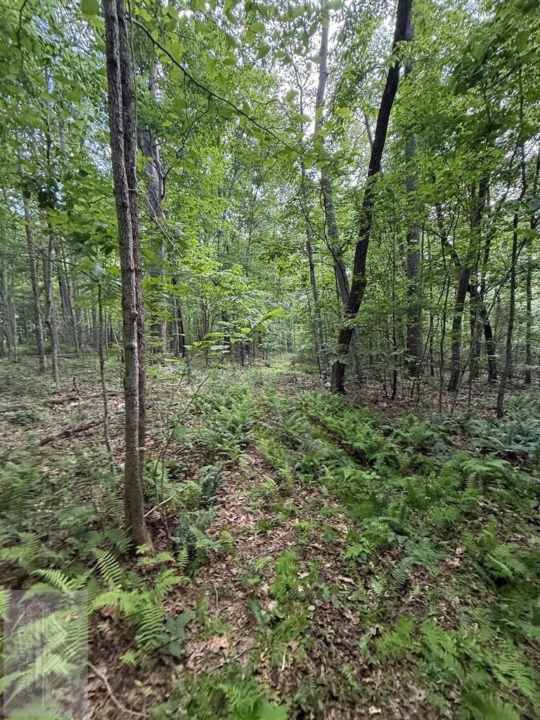 0 Fritz Run Road Ballard, WV 24918 - Photo 10 of 13 Gallery Image 10