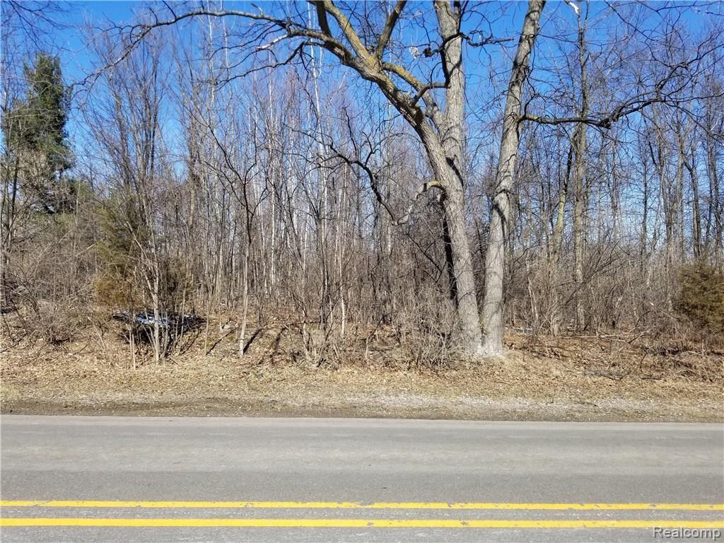 0 Wiggins Road Fenton, MI 48430 - Photo 6 of 7