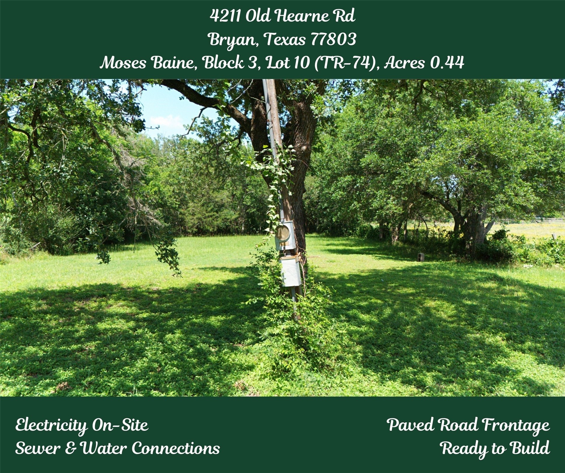 4211 Old Hearne Road Bryan, TX 77803 - Photo 10 of 19 a view of a park with a tree