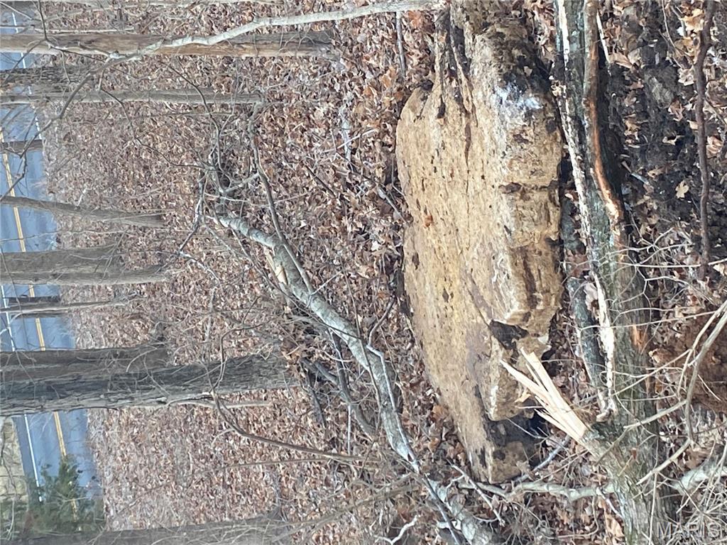 0 Gravois Road House Springs, MO 63051 - Photo 11 of 38