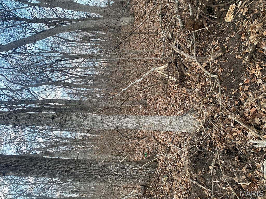 0 Gravois Road House Springs, MO 63051 - Photo 13 of 38