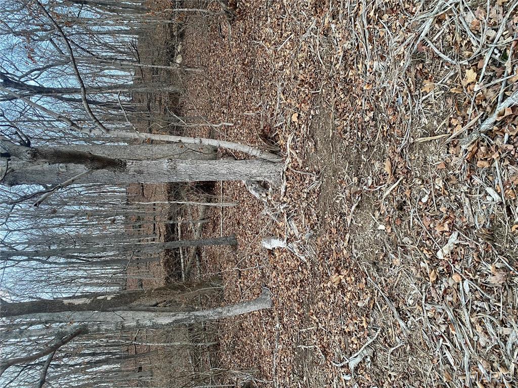 0 Gravois Road House Springs, MO 63051 - Photo 15 of 38