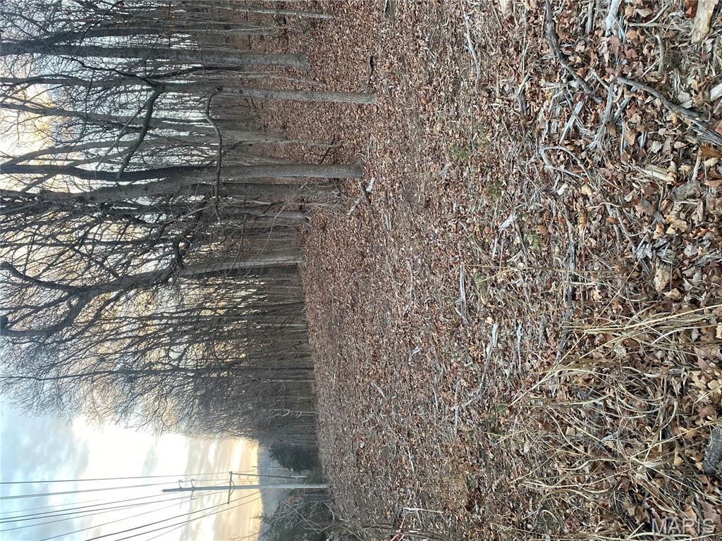 0 Gravois Road House Springs, MO 63051 - Photo 16 of 38