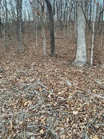 $29,900 | 0 Gravois Road, House Springs, MO 63051