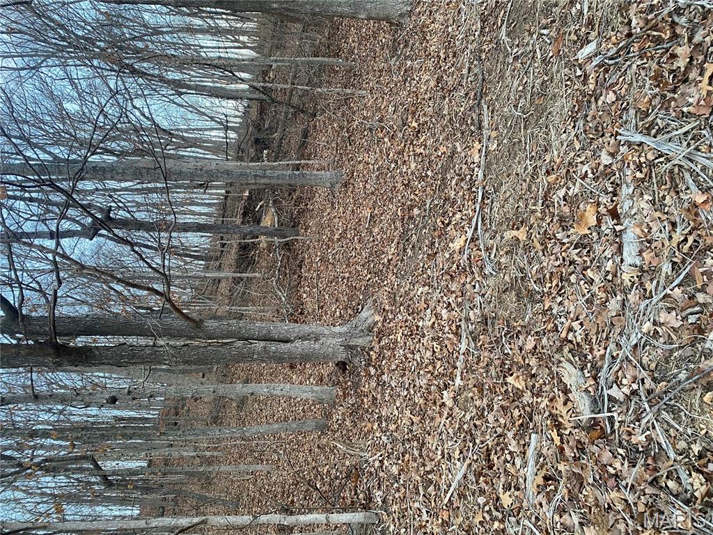 0 Gravois Road House Springs, MO 63051 - Photo 20 of 38