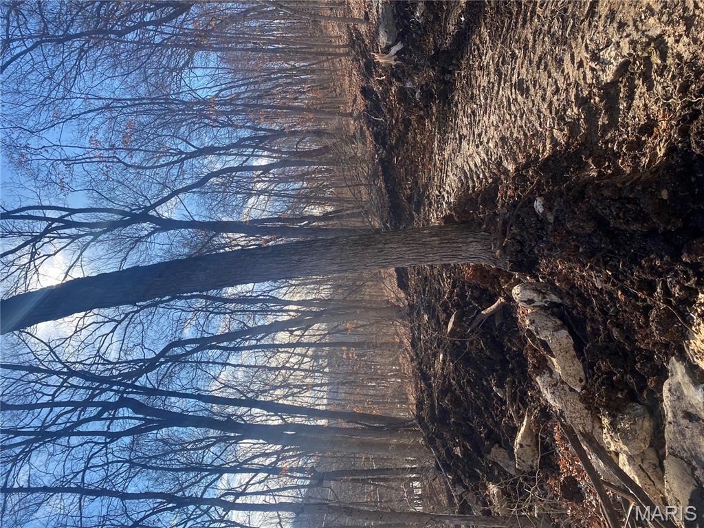 0 Gravois Road House Springs, MO 63051 - Photo 2 of 38