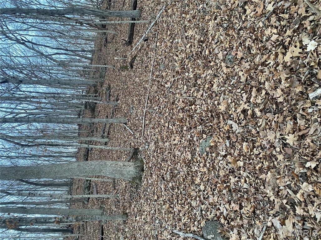 0 Gravois Road House Springs, MO 63051 - Photo 23 of 38