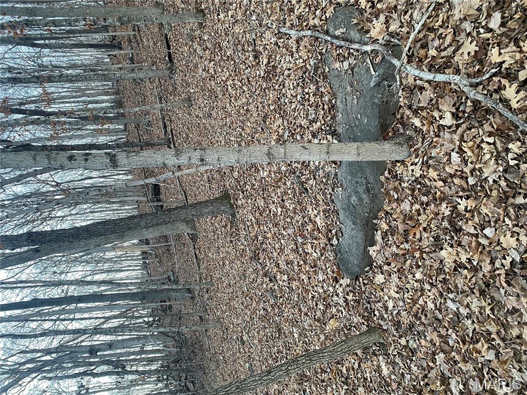 0 Gravois Road House Springs, MO 63051 - Photo 24 of 38