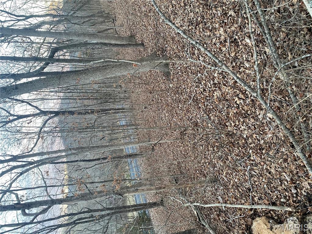 0 Gravois Road House Springs, MO 63051 - Photo 26 of 38