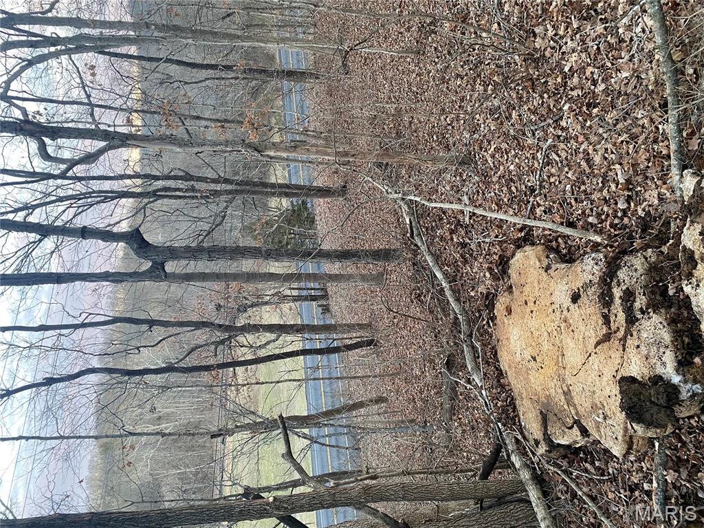 0 Gravois Road House Springs, MO 63051 - Photo 27 of 38