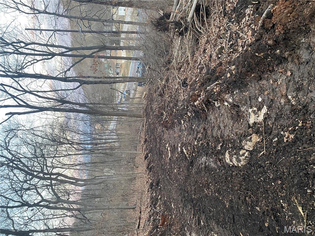 0 Gravois Road House Springs, MO 63051 - Photo 28 of 38