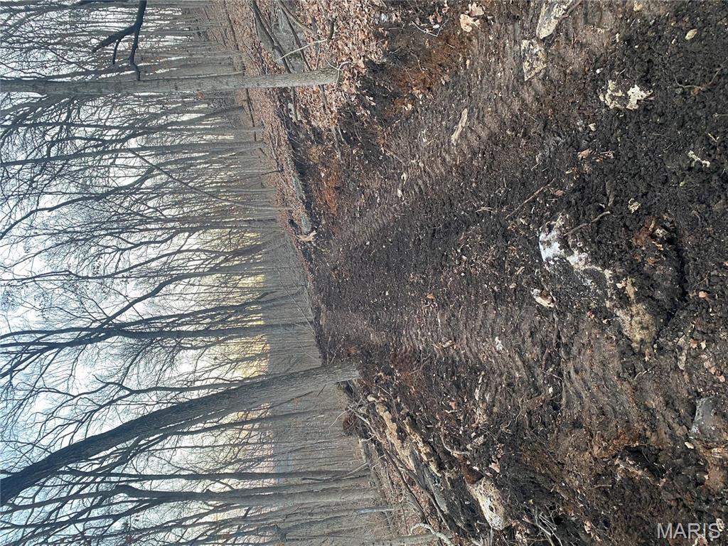 0 Gravois Road House Springs, MO 63051 - Photo 29 of 38