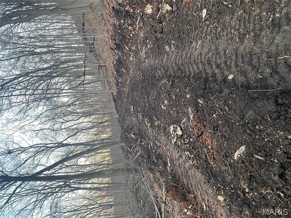 0 Gravois Road House Springs, MO 63051 - Photo 30 of 38