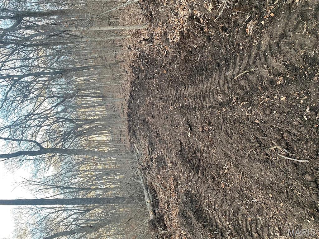 0 Gravois Road House Springs, MO 63051 - Photo 3 of 38