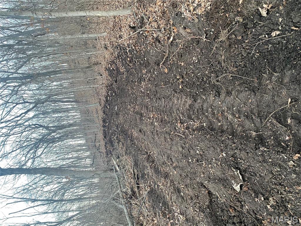 0 Gravois Road House Springs, MO 63051 - Photo 31 of 38