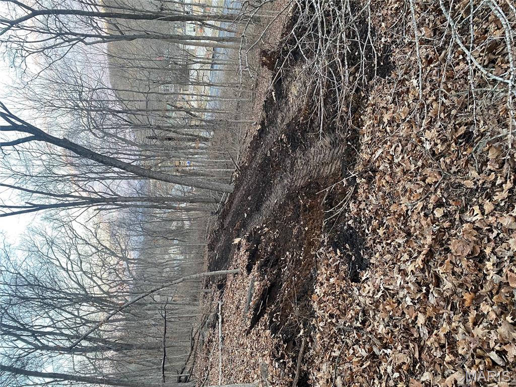 0 Gravois Road House Springs, MO 63051 - Photo 4 of 38