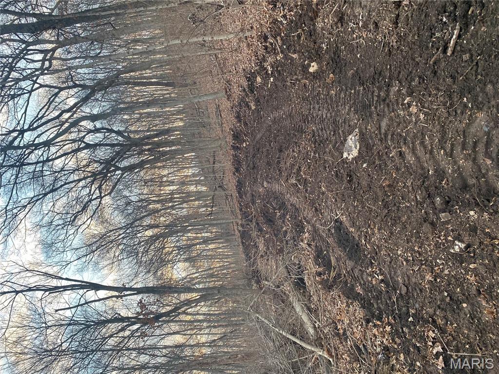 0 Gravois Road House Springs, MO 63051 - Photo 5 of 38