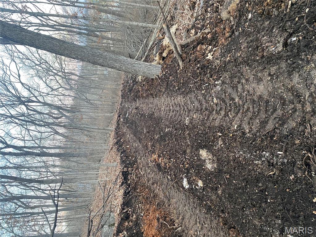 0 Gravois Road House Springs, MO 63051 - Photo 6 of 38