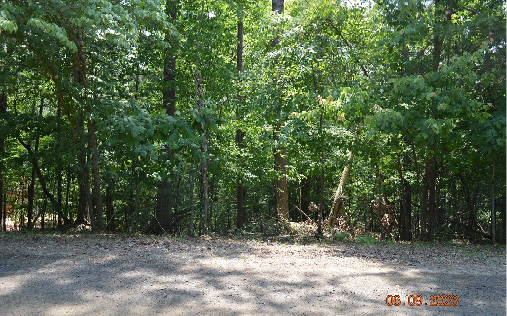 1422 Malory Ellijay, GA 30540 - Photo 16 of 19 Additional View