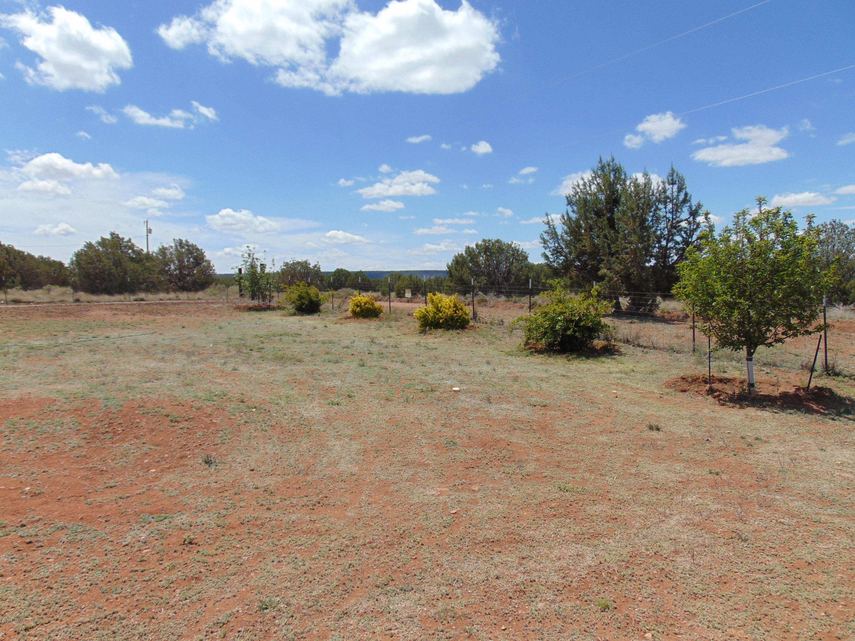 4389 Mountain View Road Snowflake, AZ 85937 - Photo 3 of 82
