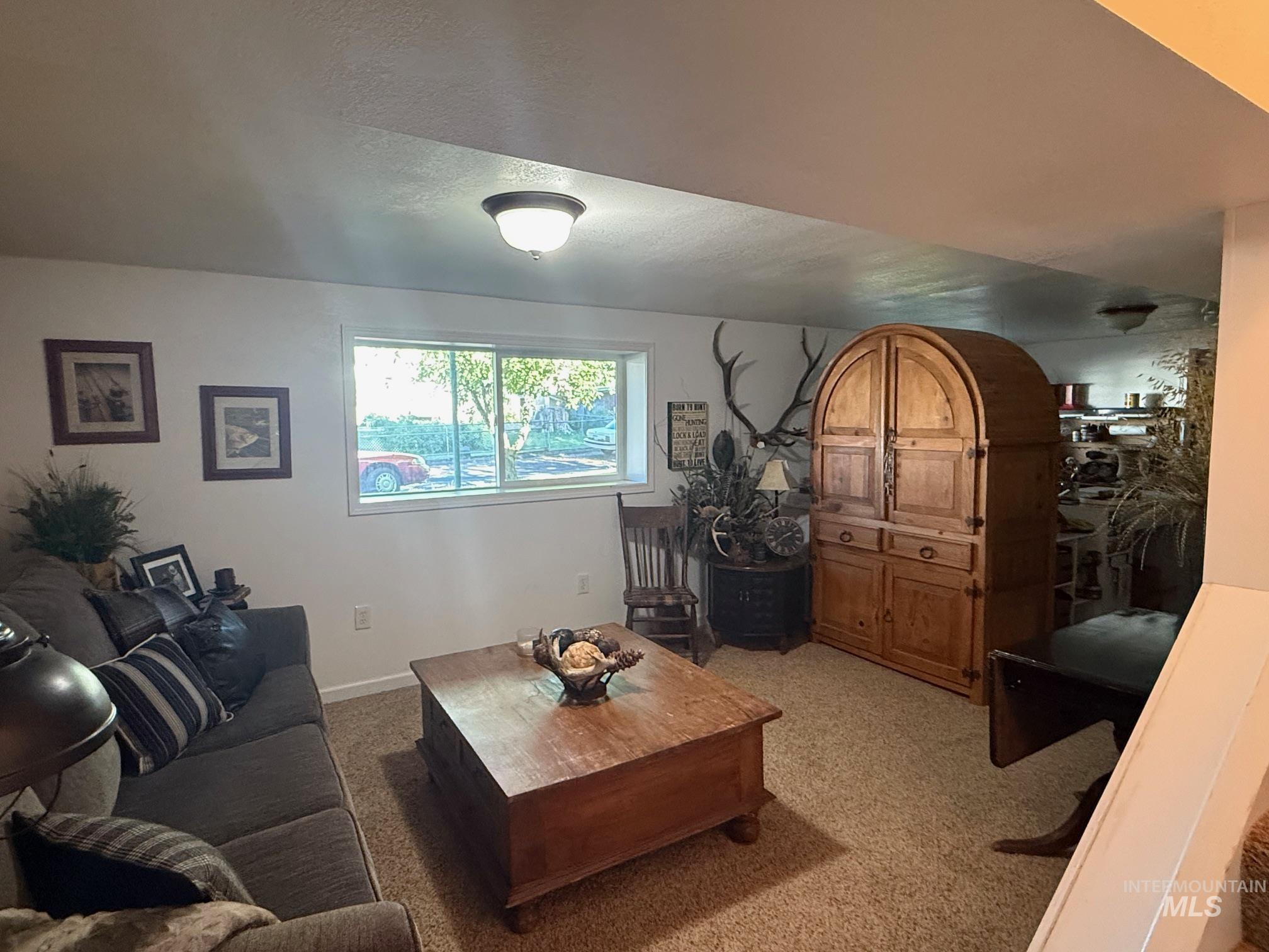 403 138th Street Orofino, ID 83544 - Photo 20 of 32 Living room with light colored carpet and baseboards