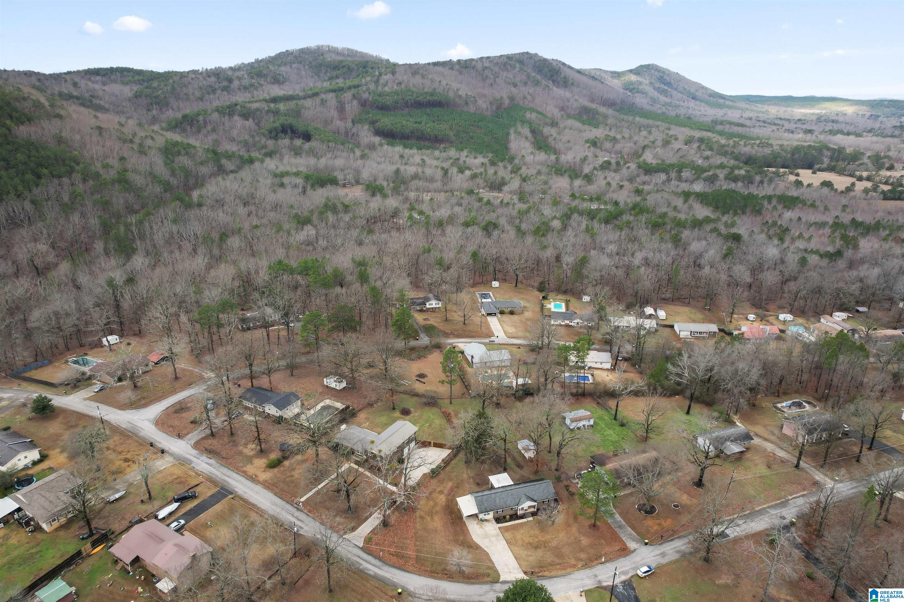 832 Center Point Road Sylacauga, AL 35151 - Photo 5 of 33