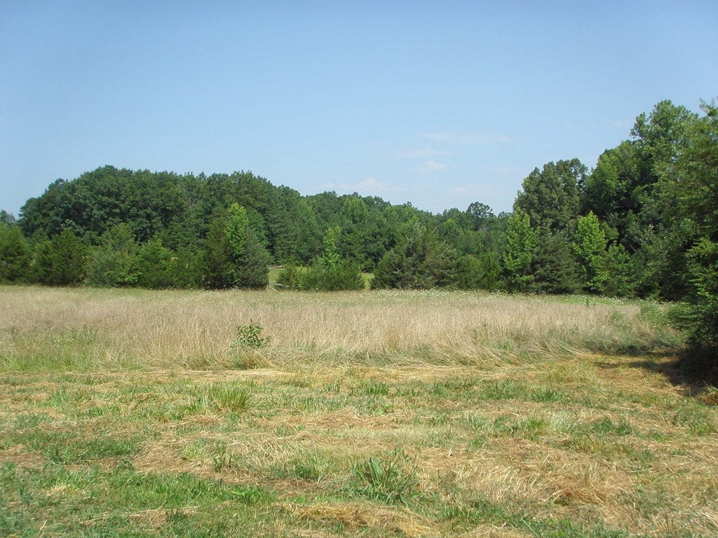 4684 Springfield Road Meherrin, VA 23954 - Photo 26 of 34 Gallery Image 26