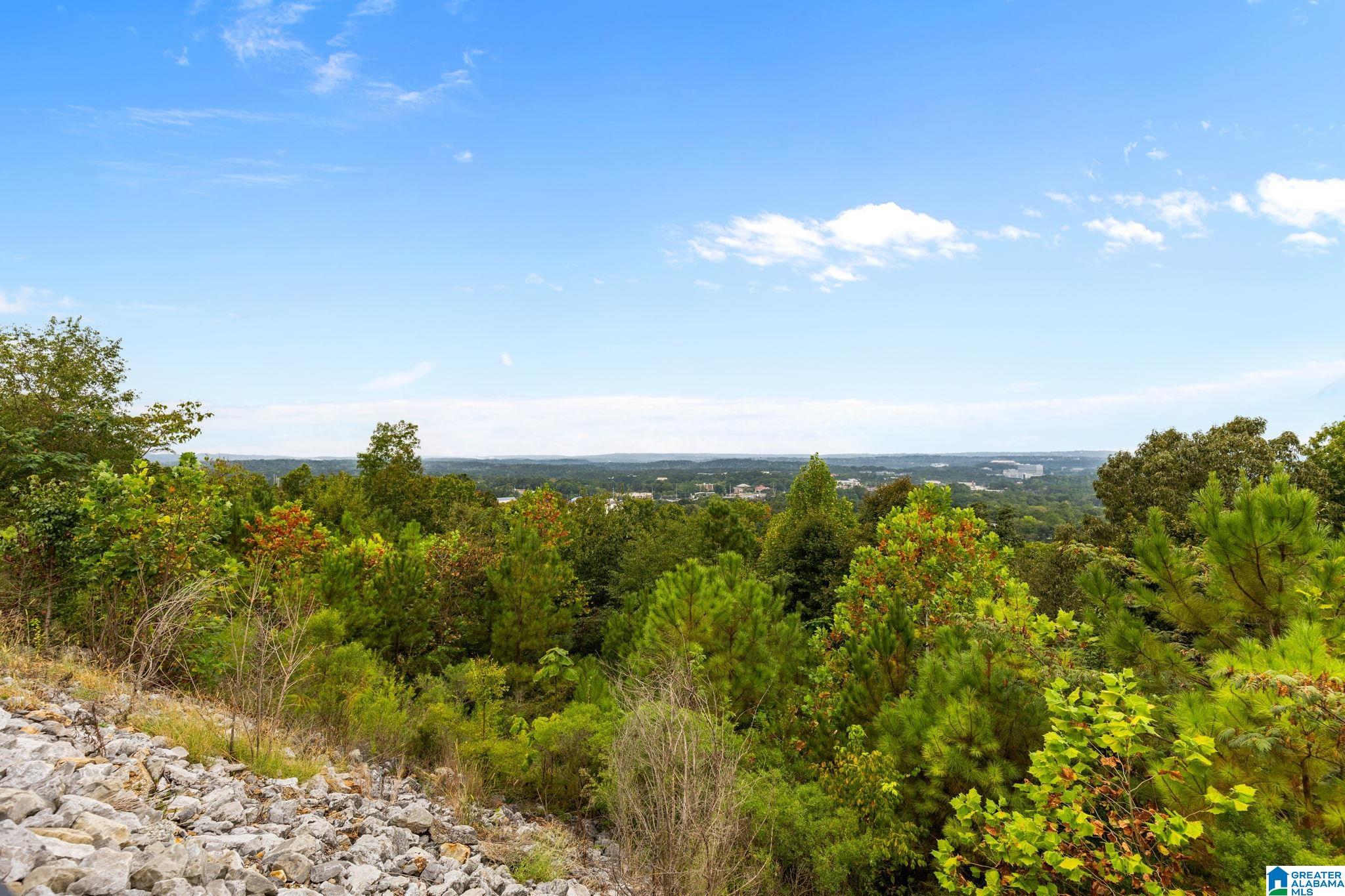 4076 Eagle Ridge Court Birmingham, AL 35242 - Photo 37 of 42 Gallery Image 37