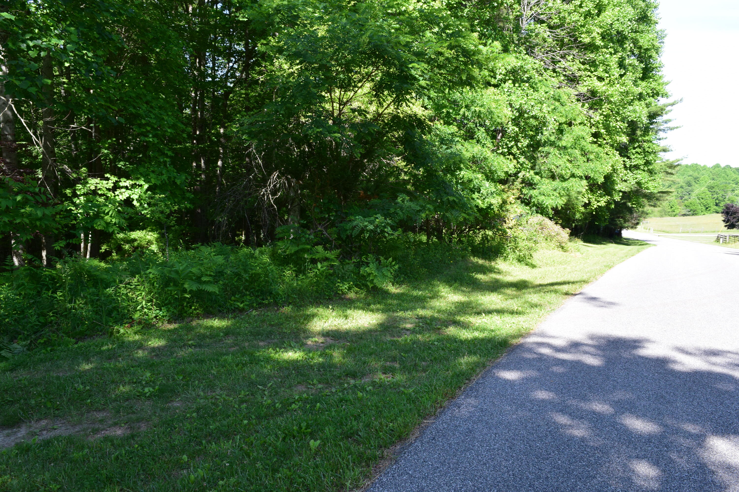 812 Conner Grove Road Southwest Willis, VA 24380 - Photo 68 of 87 DSC_0031