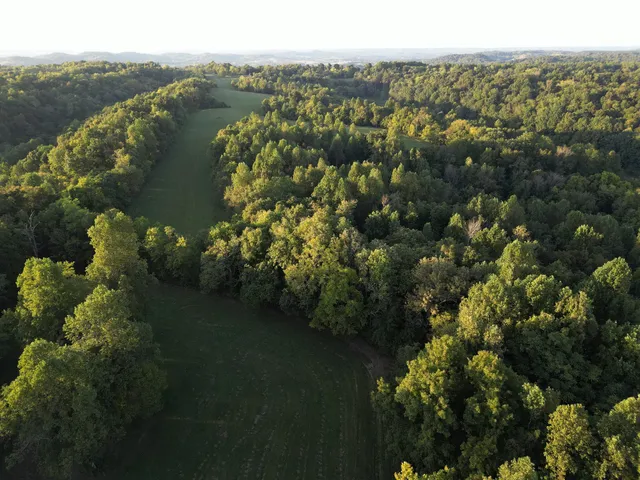 a view of an outdoor space and yard