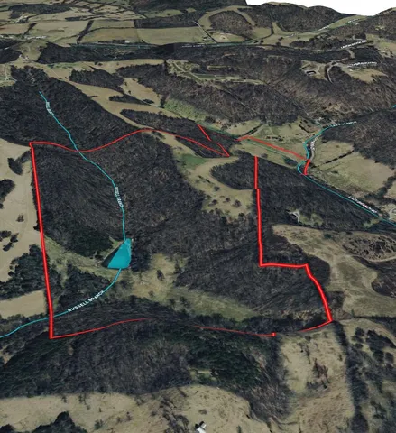 a view of a forest with trees