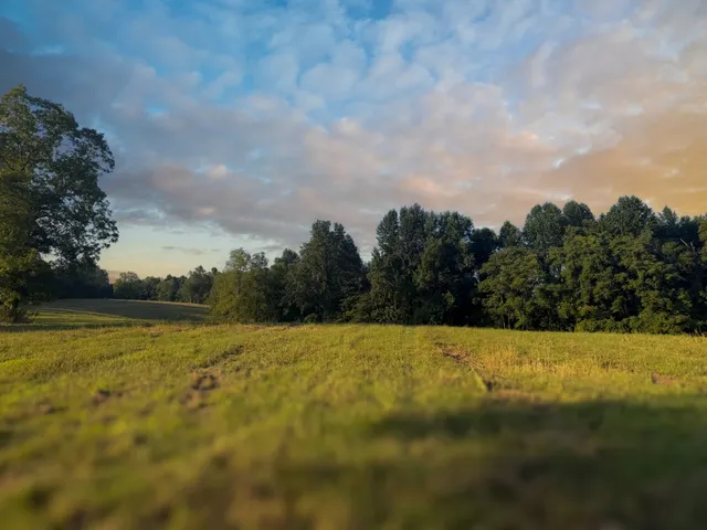 a view of outdoor space and yard
