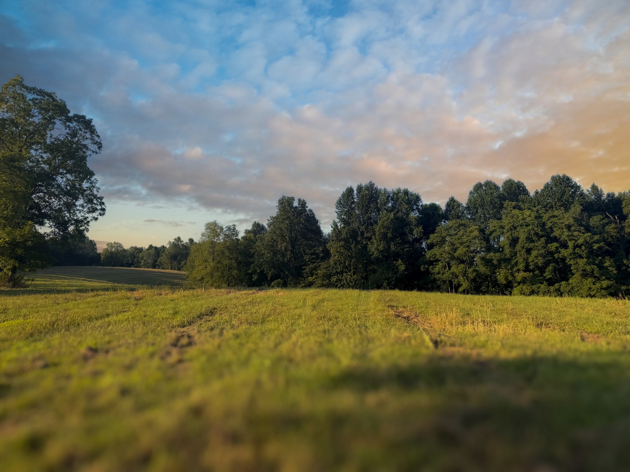 0 Lazy Branch Road Wartrace, TN 37183 - Photo 14 of 82