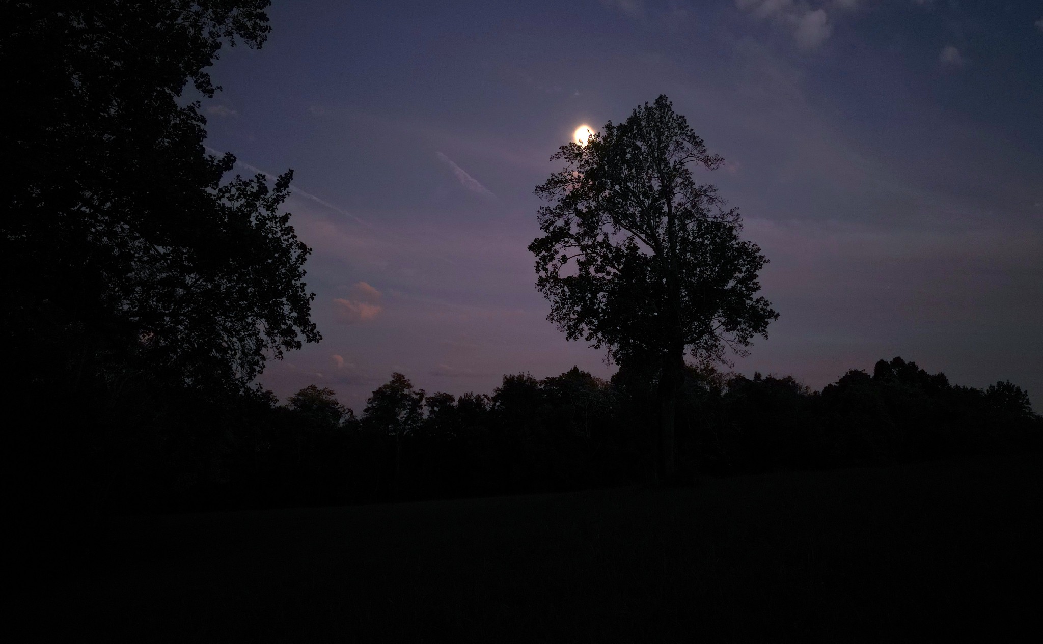 0 Lazy Branch Road Wartrace, TN 37183 - Photo 2 of 82