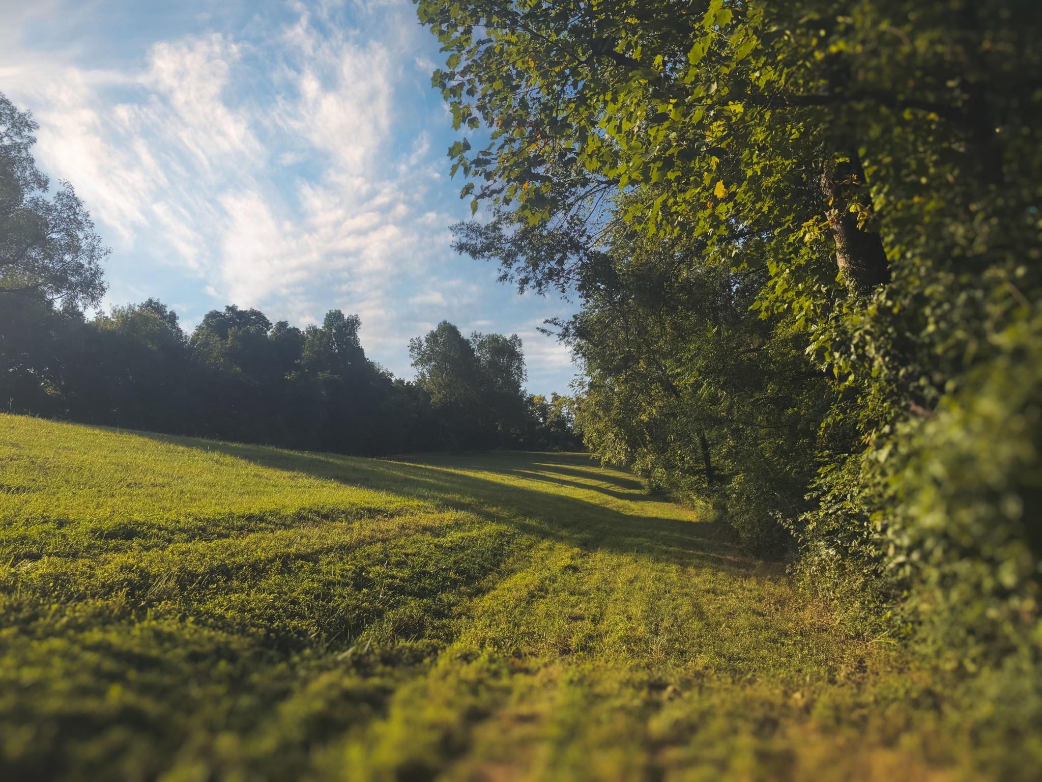 0 Lazy Branch Road Wartrace, TN 37183 - Photo 21 of 82 a view of an ocean view