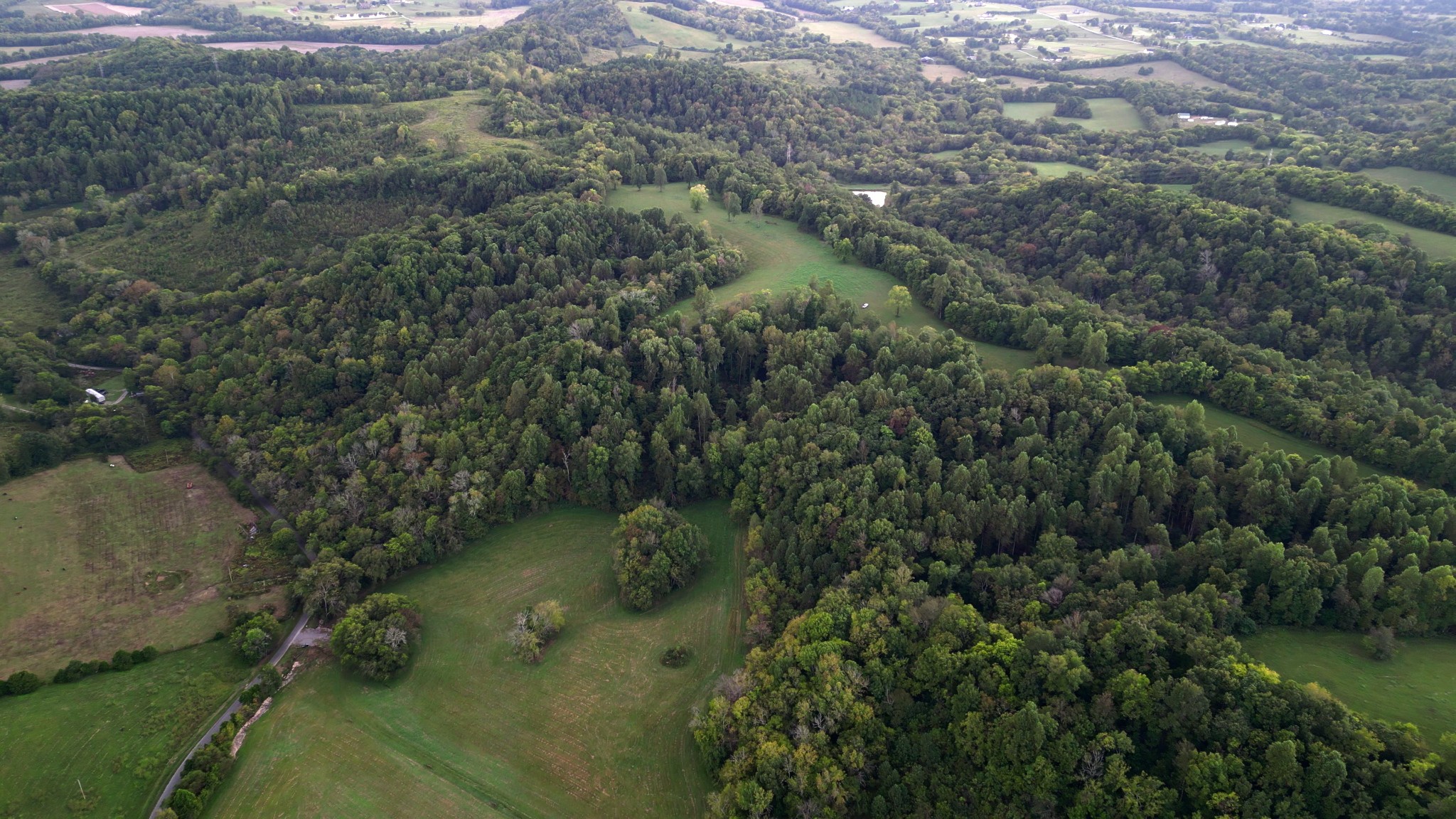 0 Lazy Branch Road Wartrace, TN 37183 - Photo 22 of 82 a view of a forest with a lake