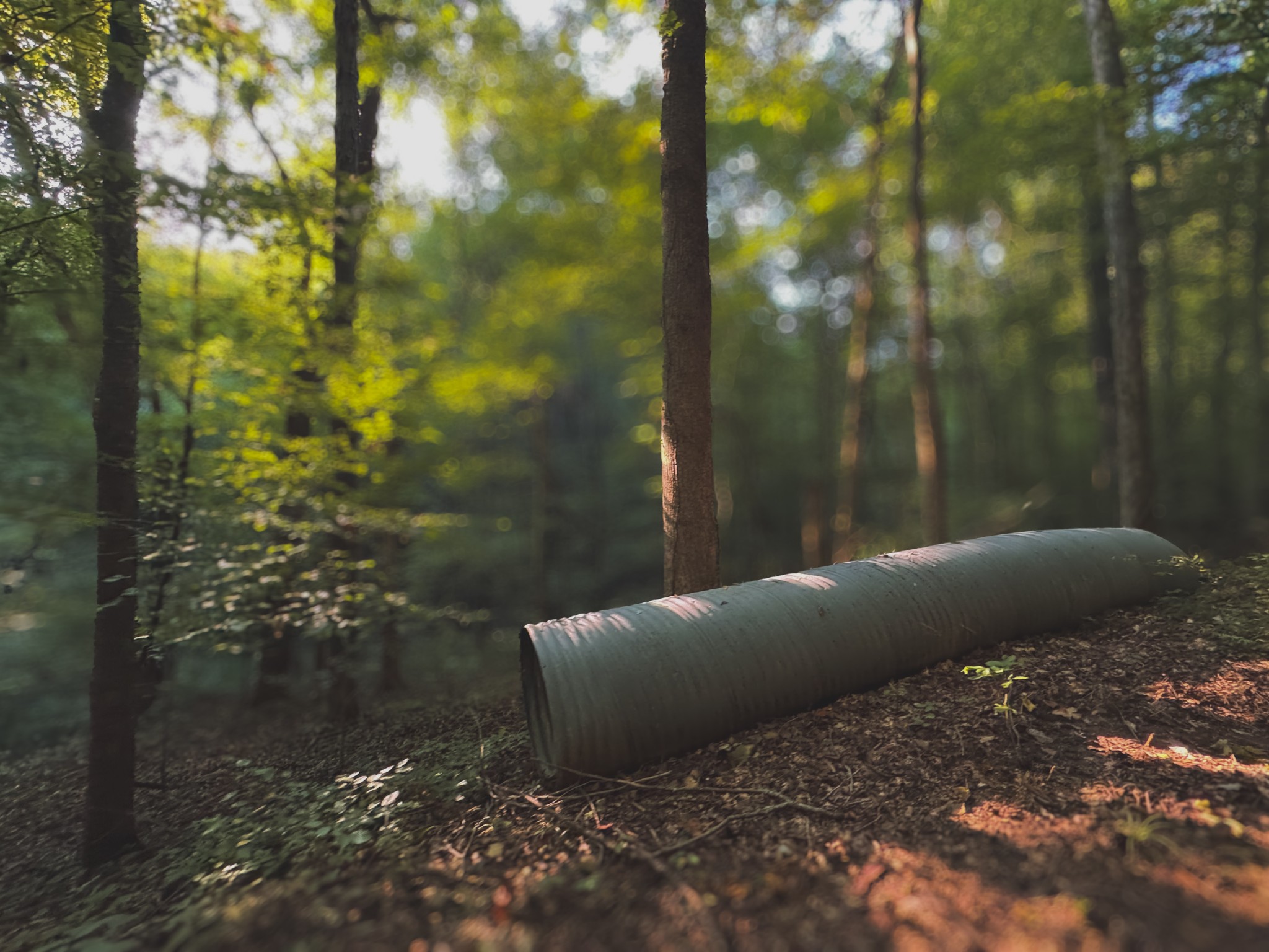 0 Lazy Branch Road Wartrace, TN 37183 - Photo 25 of 82