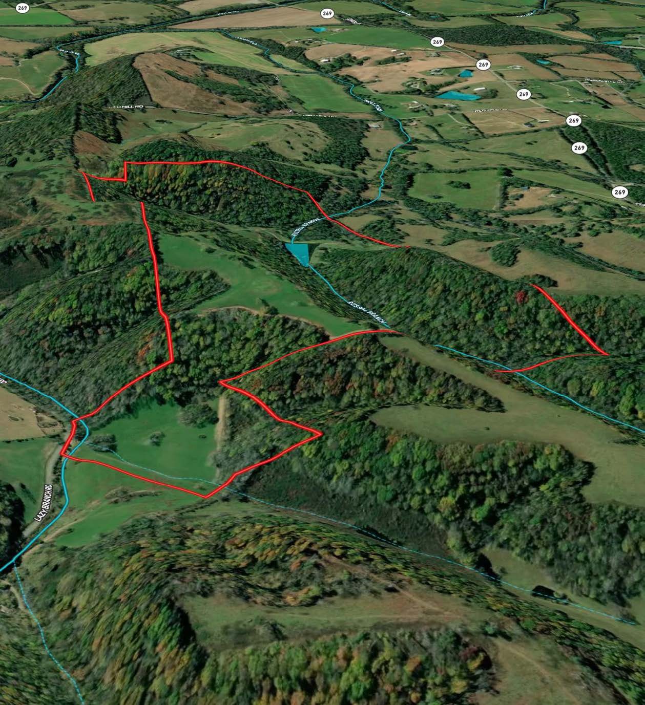 0 Lazy Branch Road Wartrace, TN 37183 - Photo 26 of 82 an aerial view of a garden