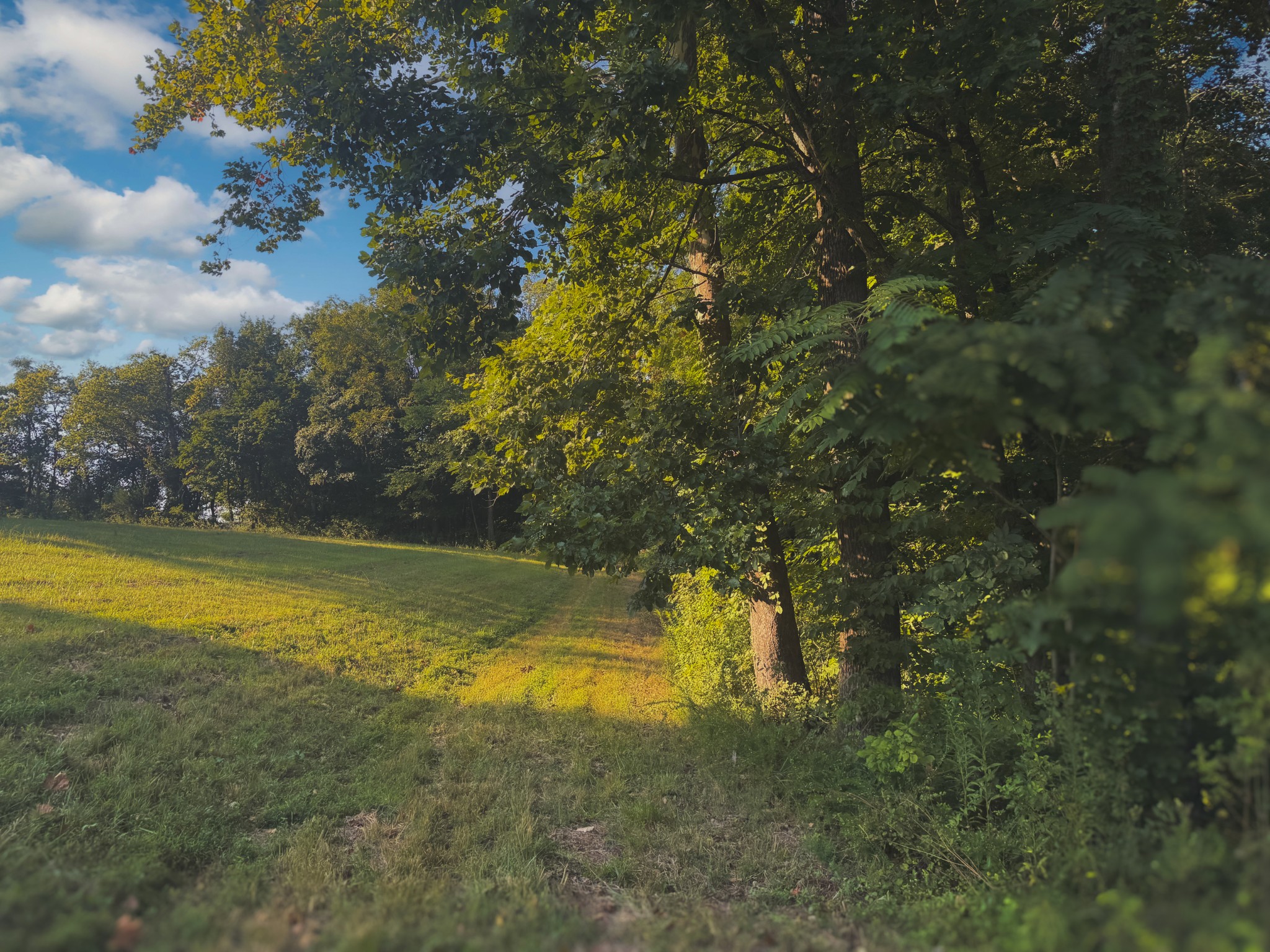 0 Lazy Branch Road Wartrace, TN 37183 - Photo 28 of 82 a view of an outdoor space and swimming pool