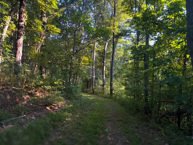 a view of a outdoor space