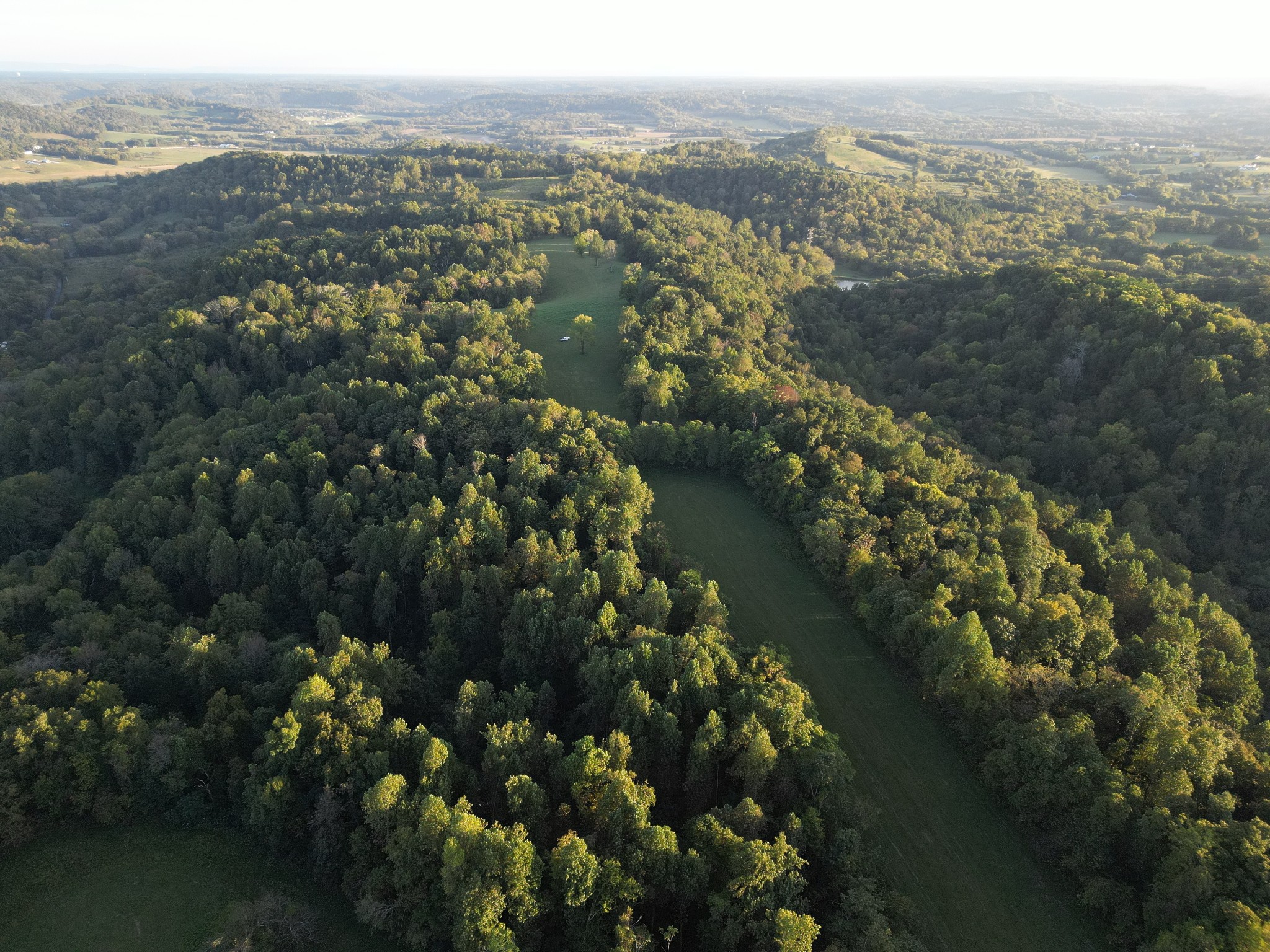 0 Lazy Branch Road Wartrace, TN 37183 - Photo 3 of 82