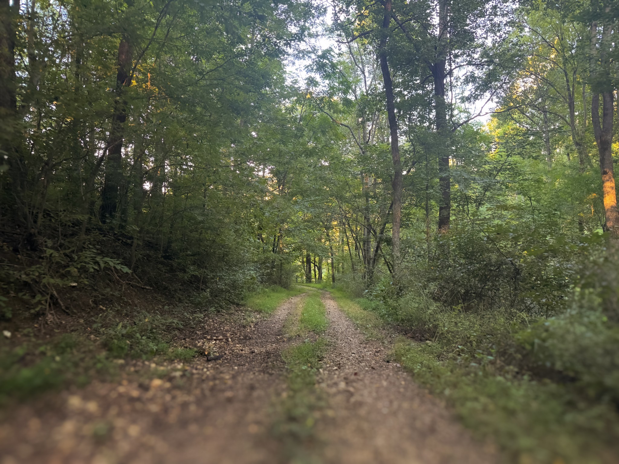 0 Lazy Branch Road Wartrace, TN 37183 - Photo 31 of 82